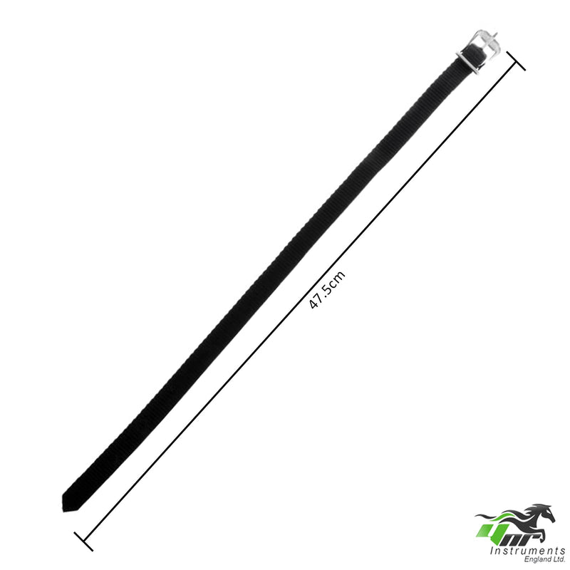 Horse Riding Spur Rider Metal Blunt Rounded End Spurs Steel With Buckle Nylon (Black) Black - PawsPlanet Australia