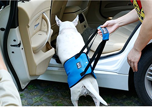 Morezi Dog Lift Harness - Support Sling Helps Dogs With Weak Front or Rear Legs Stand Up, Walk, Get Into Cars, Climb Stairs. Best Alternative to Dog Wheelchair - Blue - S - PawsPlanet Australia