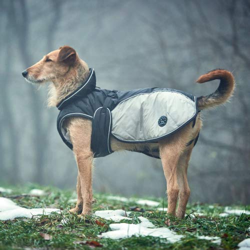 HUNTER Dog coat Uppsala Extreme 40 Black/Grey, S - PawsPlanet Australia