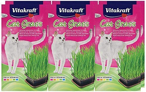 Vitakraft Cat Grass Seed Kit Wheatgrass for Pet, Grow Indoor Treat in Tray 120 Gram (Pack of 6) - PawsPlanet Australia