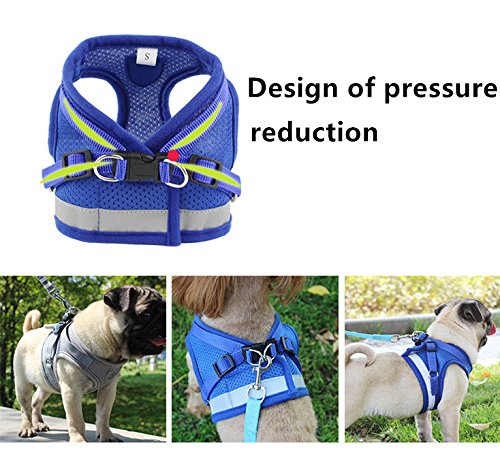 Soft Dog Cat Harness with Leash Adjustable Halter Harness No-pull Breathable Mesh Safety Outdoor Reflective Walking Leash Set (BLUE, XL) BLUE - PawsPlanet Australia