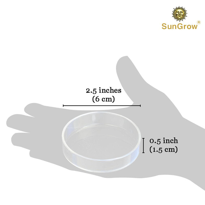 Tough Borosilicate Glass Shrimp Feed Dish, Never Run out Of Food for Shrimps, Prevent Food Spilling, Heavy-Duty, Transparent Basin, for Shrimp Food or Fishs Tubifex Worms - PawsPlanet Australia