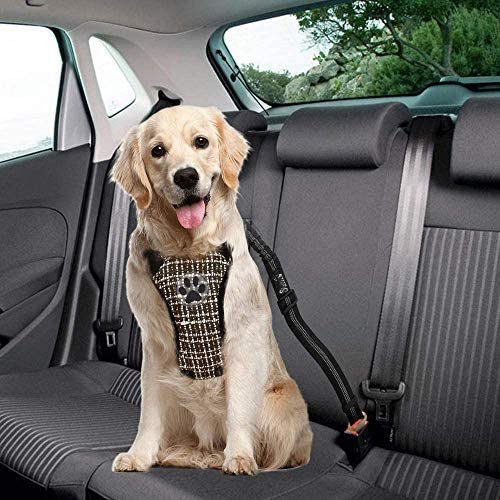Nasjac Dog Harness for Car Seat Belts, Puppy Harness with Safety Seatbelt for Small Dogs Snug Fit Breathable Adjustable Elastic Buffer Dog Car Seatbelts in Vehicle for Dog Walking Travel XXXS Brown with White Vest &Seatbelt - PawsPlanet Australia