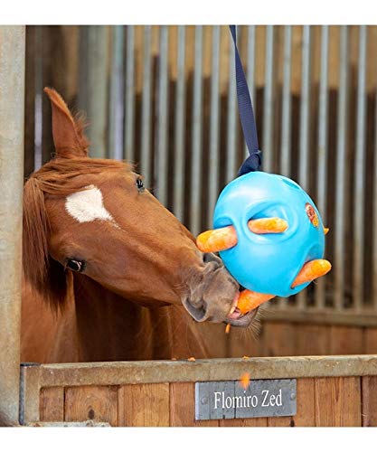 Shires Carrot Ball - Blue - PawsPlanet Australia