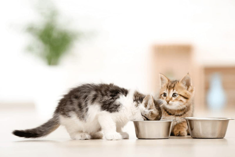 HB Pet Feeder Stainless Steel Dog and Cat Bowls Feeding Replacement Food Bowl for Raised Feeder / Pet Water Metal Bowls 2.5 cup Double Pack - PawsPlanet Australia