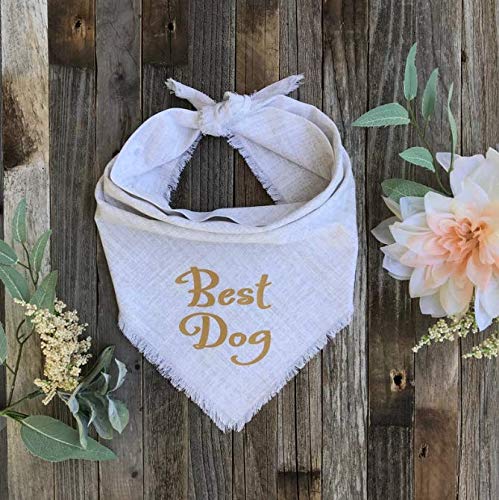 [Australia] - Willowear Best Dog Wedding Dog Bandana Engagement Wedding Photos Dog of Honor I Do Too Large Best Dog Gold 