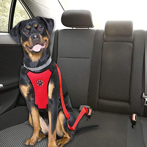 MASO Dog Safety Car Vest Harness Pet Dog Adjustable Car Mesh Harness Seat Belt Travel Strap Vest with Car Seat Belt Lead Clip for Trip, Daily Use, Road Travel Walks, etc.(M,Red) M,Red - PawsPlanet Australia