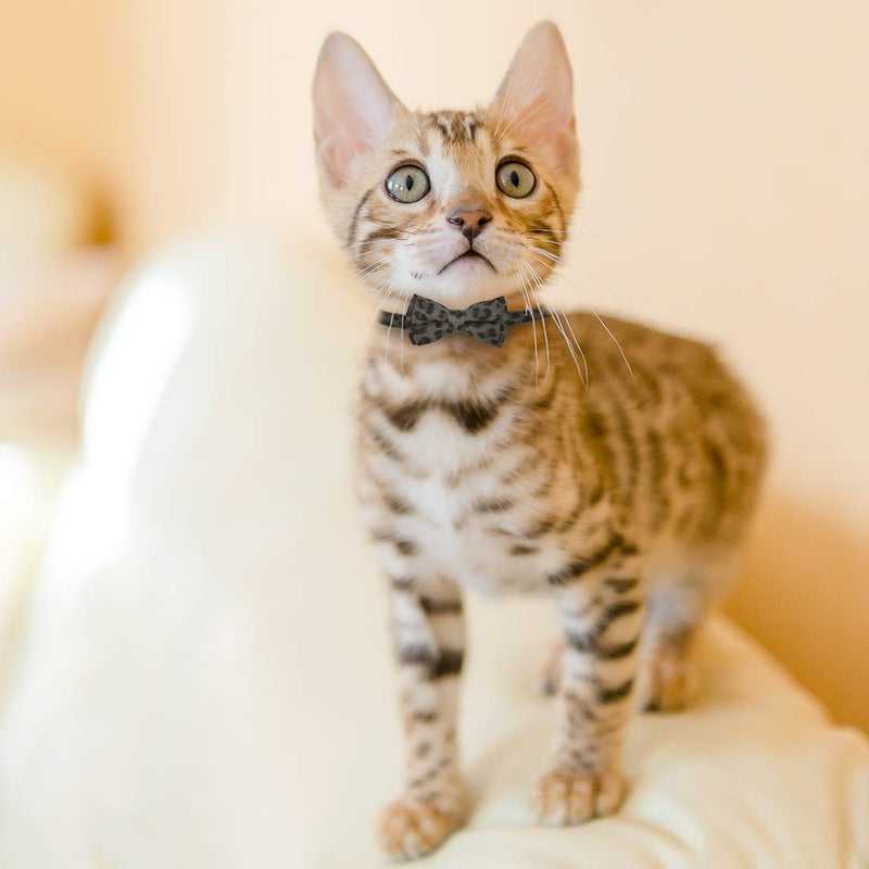 3 Pack Cat Collars, Cute Kitten Collars, Pet Bow Tie, Leopard Print Cat Collars, Adjustable Cat Bow Tie Collars with Bells - PawsPlanet Australia