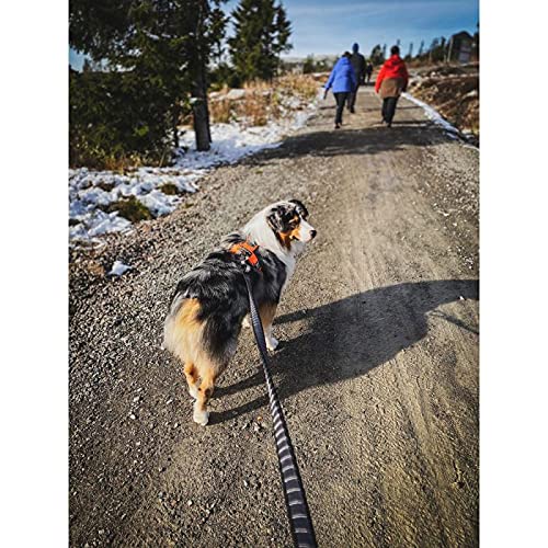 Non-stop dogwear Bungee Touring Leash, 2.m/ Width 2.3 cm - PawsPlanet Australia