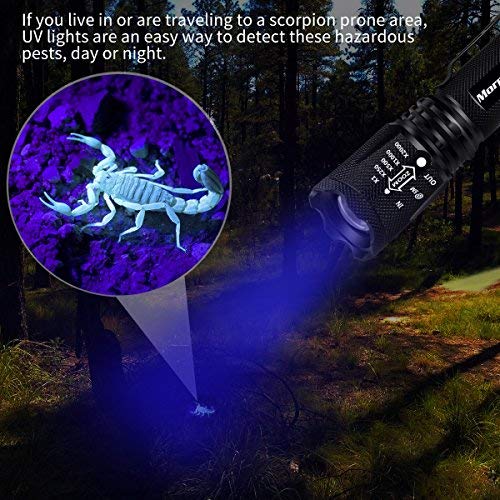 [Australia] - Keenstone 2 in 1 UV Flashlight LED Tactical Flashlight Handheld Black Light Flashlight with 3 AAA Batteries，Ultraviolet Urine Detector for Spot Carpet Pet Urine Stain Catch Scorpions. 