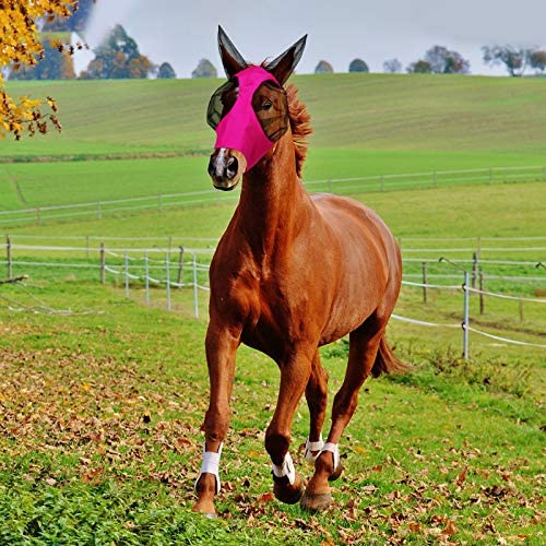 2 Pieces Horse Fly Mask Horse Mask with Ears Smooth and Elasticity Fly Mask with UV Protection Black, Grey L - PawsPlanet Australia