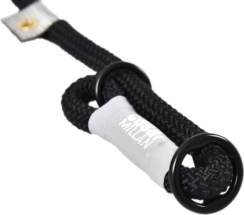 Cesar Millan leash - training leash for dogs - 2-in-1 collar dog and leash - slip lead - retriever leash with integrated collar, weatherproof rope - length 120cm diameter 1.2cm color black large - PawsPlanet Australia