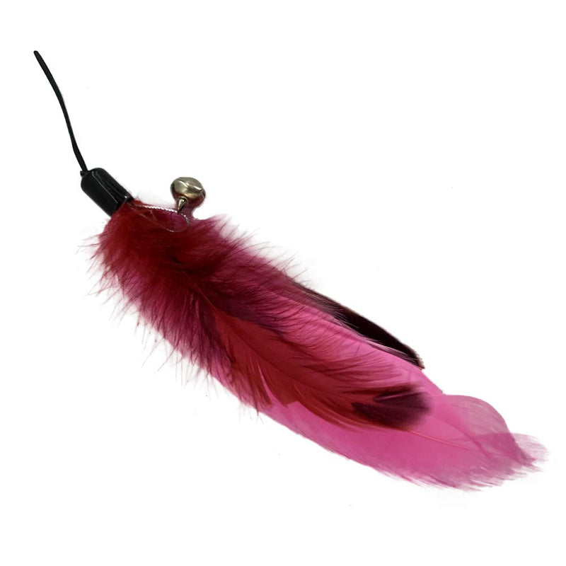 MUZIWIG Cat Feather Wand - 1 Pc Interactive Cat Feather Toy-8 Replacement Retractable Wand Feathers Birds with Bell, Kitten Cats Interactive Teaser Mouse toys Exercise for Kitten Cats - PawsPlanet Australia