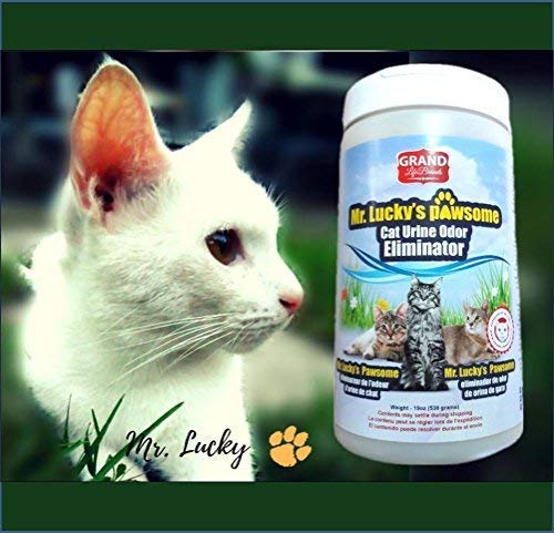 [Australia] - Mr. Luckys Premium, ALL-NATURAL Cat Urine Odor Eliminator Keeps Litter Box Smelling Fresh, Removes Stinky Smell of Cat Pee From the Air. Safe for pets and humans, does not stain floors and furniture 