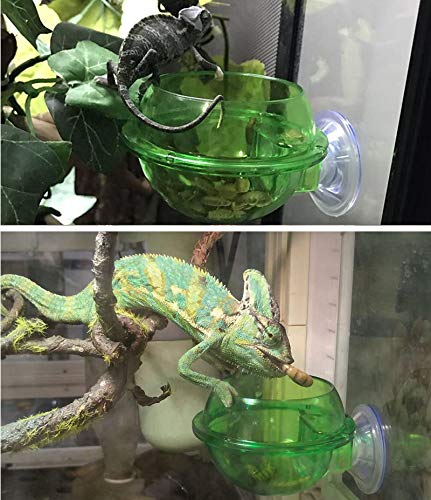 ass Anti-Escape Reptile Cup Gecko Bowl, Suction Cup Reptile Feeder，Chameleon Accessories, Worm Live Fodder Container,Translucent Home Pet Feeder Supplies Accessories for Tortoise Gecko Snakes Iguana - PawsPlanet Australia