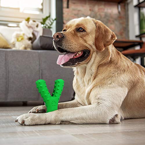 Idepet Dog Toothbrush Teeth Cleaning Chew Toys Bite Resistant Non-Toxic Natural Rubber Dog Chew Toothbrush Puppy Dental Care Brushing Toy Letter Y - PawsPlanet Australia