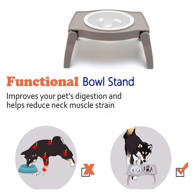 [Australia] - RoyalCare Elevated Pet Bowl Stand for Dogs with Slow Feeder Bowl Premium Foldable Stand Dog Food Water Feeding Bowl, Detachable Anti-Slip Mats Non Skidding No Spill for Indoor & Outdoor one bowl 