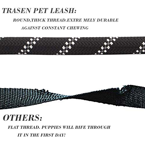 [Australia] - Pink Trasen Pet Strong Dog Leash 5ft Long with Comfortable Padded Handle, Reflective Stripes. Heavy Duty Training Durable Nylon Rope Leashes for Small Medium Large 