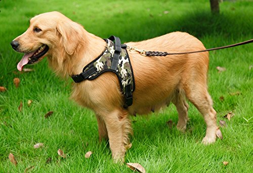 Liying Padded Adjustable Non Pull Dog Harness + Black Leash Lead 120cm Safety Reflective Heavy Duty Chest/Back Collar With Handles for Small Medium Large Pet M, Chest: 20"-24" Camouflage + Leash Lead - PawsPlanet Australia