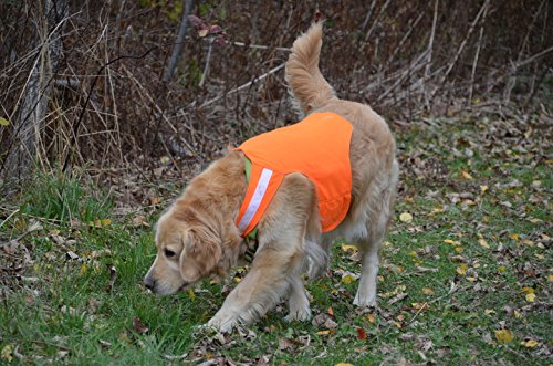 [Australia] - Dog Not Gone No Fly Zone Safety Vest for Dogs, Medium, Orange 