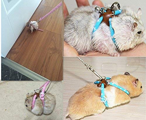 Hypeety Rat Hamster Training Lead Leash Soft Nylon & Rope for Hamster Rat Squirrel Gerbil Guinea Pigs Mouse Pet Cage Playhouse Leashes Band Finder Collar Bell Nylon Blue - PawsPlanet Australia