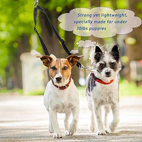 Snagle Paw Tangle Free BungeeX2 Double Dog Leash Coupler, 360° Swivel No Tangle Double Dog Walking & Training Leash, Comfortable Shock Absorbing Reflective Bungee Lead Walk 2 Dogs with Ease Small(Pack of 1)-adjustable black - PawsPlanet Australia