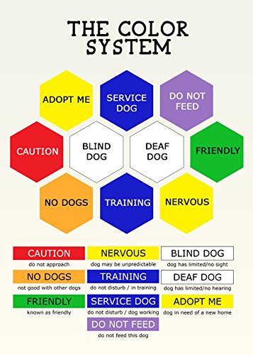 ASSISTANCE DOG Colour Coded S-M L-XL Dog Collars PREVENTS Accidents By Warning Others Of Your Dog In Advance (L-XL) Large-X Large Collar - PawsPlanet Australia