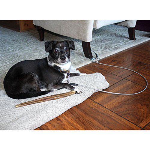 [Australia] - Waggin' Train Chew-Proof Indoor Tether Leash for Dogs. Prevents Destructive Chewing & Helps Housetraining Large 