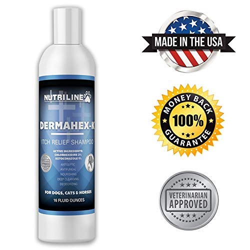 [Australia] - Nutriline Labs Antifungal & Antibacterial Chlorhexidine DermaHex-K Shampoo for Dogs and Cats, Itch Relief Shampoo, Paraben and Sulfate Free, Hypoallergenic, Made in The USA 