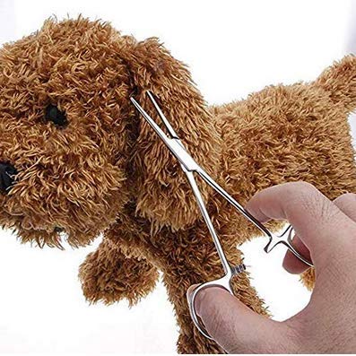 [Australia] - WYSUMMER Hemostat Forceps, High Quality Stainless Steel Dog Cat Pet Scissors Ear Hair Clamp Fishing Scissors Tools (12.5CM Bent) 12.5cm Bent 