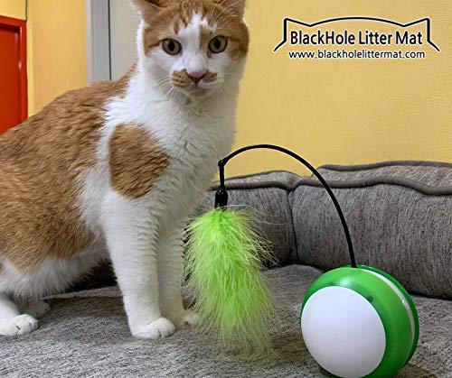 [Australia] - Blackhole Tumbler Cat Toy Interactive Feather Rolling 