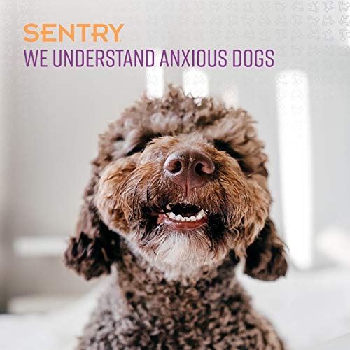 SENTRY Calming Chews for Dogs, 60 Count - PawsPlanet Australia