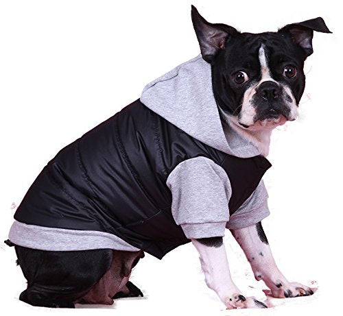 Doggydolly Winter Dog Jacket/Dog coat with Hood, 2X-Large, Black-Grey - PawsPlanet Australia