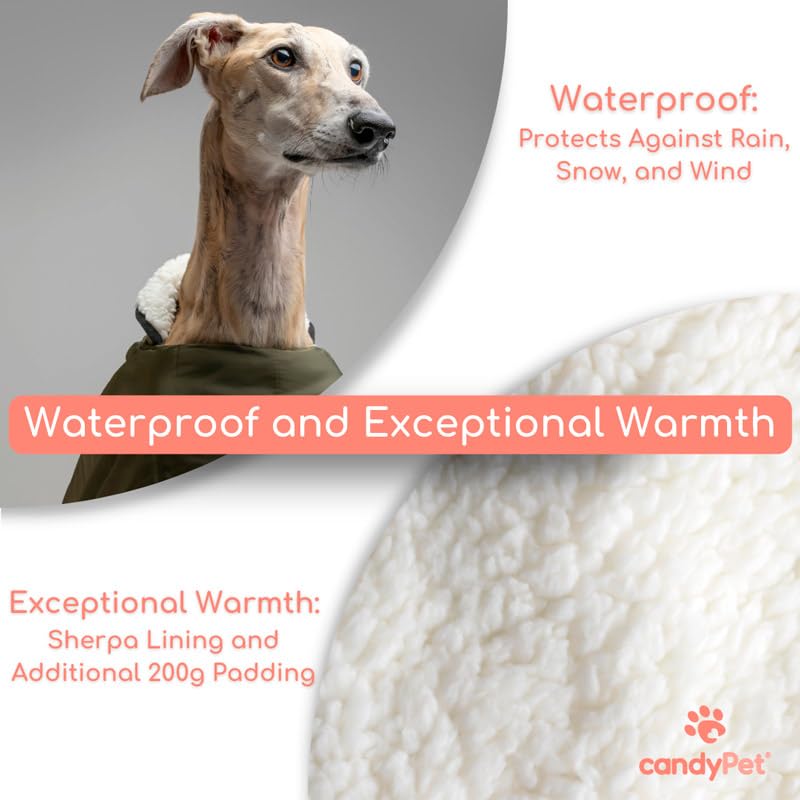 Waterproof Coat for Whippets: Style, Cold and Rain Protection - Sherpa Lining, Thermal Insulation, Harness Hole - Ideal for Whippets and Italian Greyhounds (Small, Khaki) Small - PawsPlanet Australia