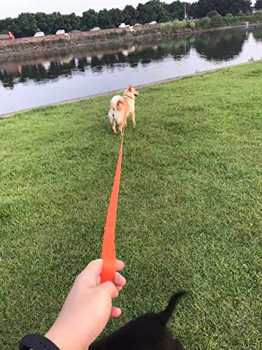 AMAGOOD Dog/Puppy Obedience Recall Training Agility Lead-15 ft 20 ft 30 ft 50 ft Long Leash-for Dog Training,Recall,Play,Safety,Camping 15 Foot (Pack of 1) Blue - PawsPlanet Australia