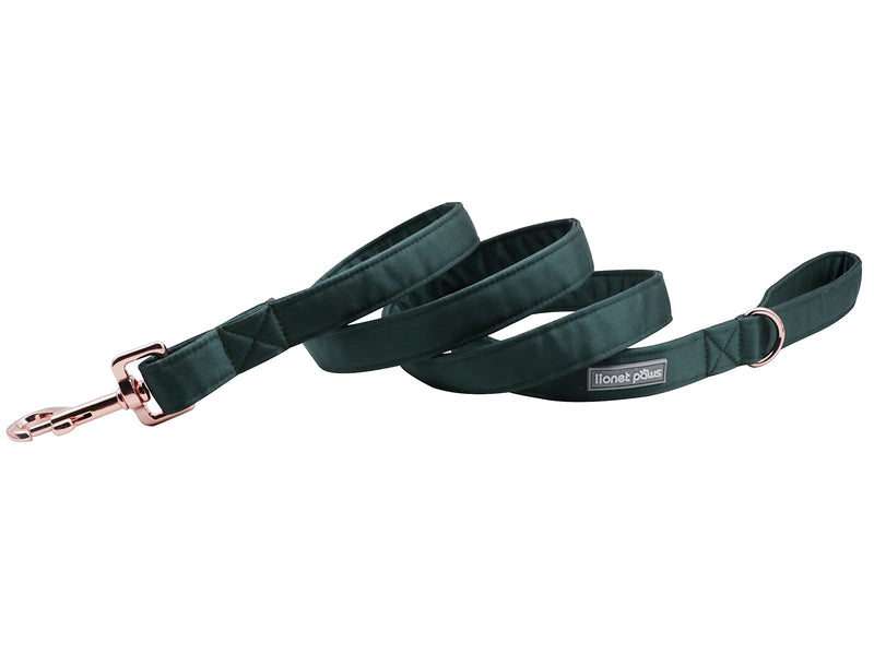 Lionet Paws Dog Leash - Silk Black Green Leash for Small Medium Large Dogs Matching Collar for Girl and Boy Lead-XS (Pack of 1) - PawsPlanet Australia