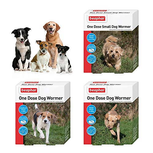 Beaphar One Dose Wormer Small Medium and Large Dogs Dog Worming Tablets (Large Dogs 20-40 kg) - PawsPlanet Australia