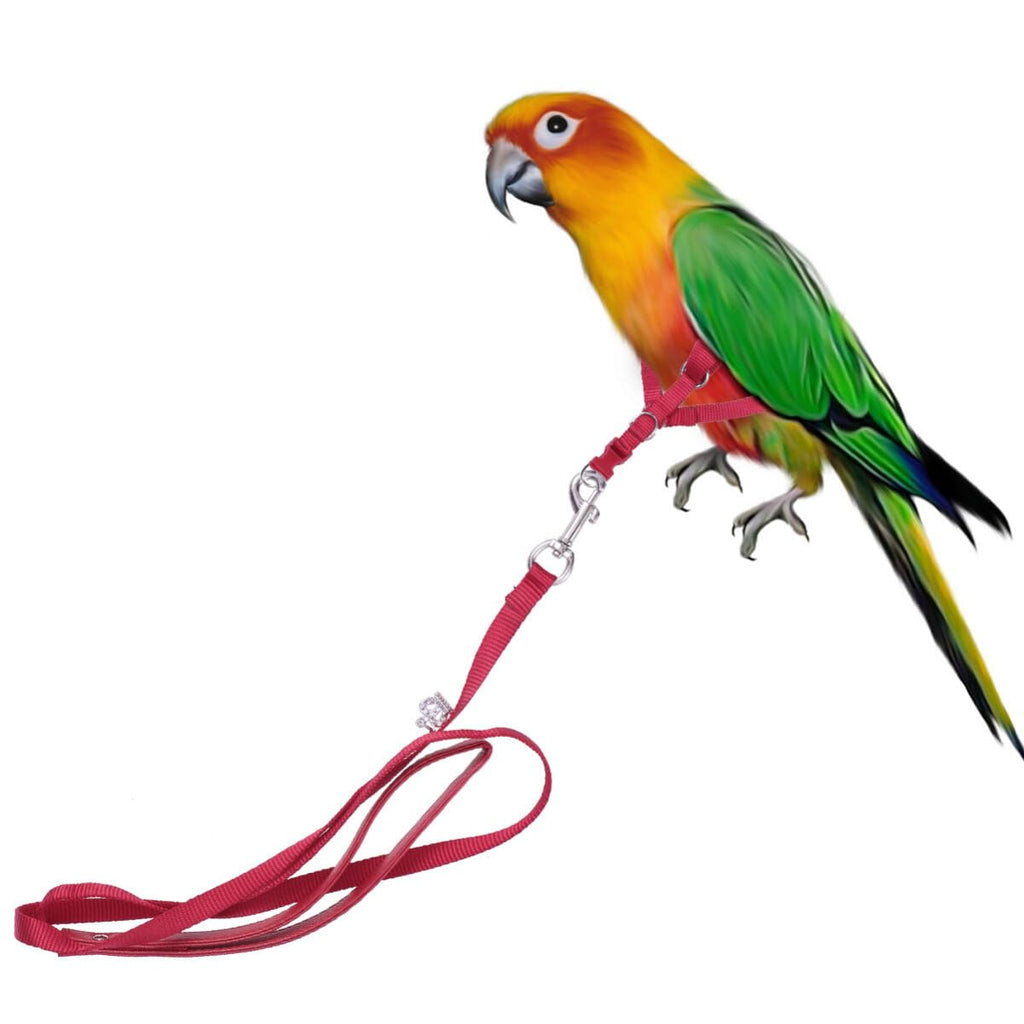 iplusmile Bird Harness and Leash for Parrot, Bird Harness Leash, Belt Braces Parrot Harness for Parrot Small Parrot Harness Bird Collars Parrot Leash - PawsPlanet Australia