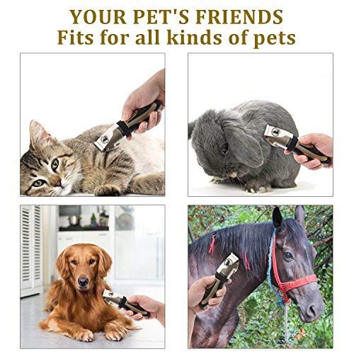 Ceenwes Dog Clippers Low Noise Pet Clippers Rechargeable Dog Trimmer Cordless Pet Grooming Tool Professional Dog Hair Trimmer with Comb Guides Scissors Nail Kits for Dogs Cats & Other(Gold) Gold - PawsPlanet Australia