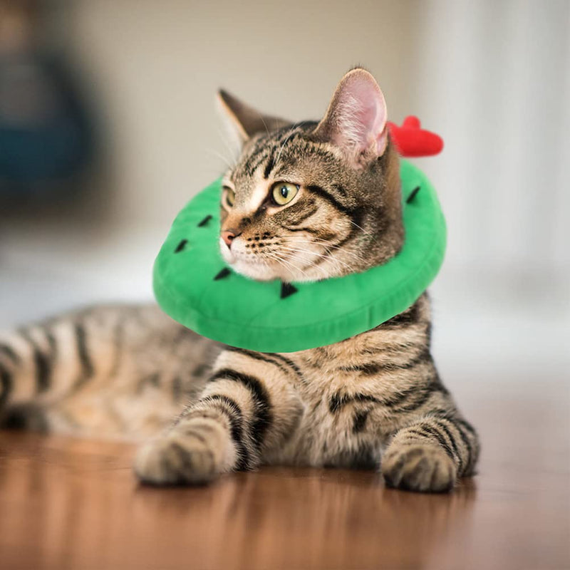 EXPAWLORER Cat Recovery Collar Soft Cat Cone Collar Cute Donut for Wound Healing, Protective E- Collar After Surgery, Elizabethan Collars for Kitten and Small Dogs Cactus - PawsPlanet Australia