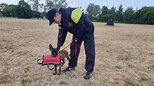 DINGO GEAR Dog Bite Pillow Handmade Wedge with 3 Handles for Training Medium Soft Nylcot, Black S00527 RED - PawsPlanet Australia