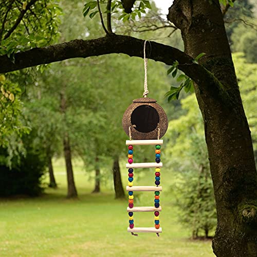 Coconut Bird Nest with Ladder,Handing Coconut Bird House,Natural Hideaway For Parrot Parakeet Lovebird Canary Pigeon Hamster Rat Gecko,Bird Cage Accessories,Bird Swing Toys,Bird Climbing Toys - PawsPlanet Australia