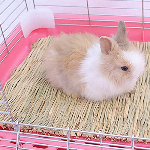 Bunny Grass Mat, Small Animal Chew Toys Natural Straw Woven Bed Mat Bed Play Toy for Bunny Guinea Pig Parrot Rabbit Hamster Rat 22Pieces - PawsPlanet Australia