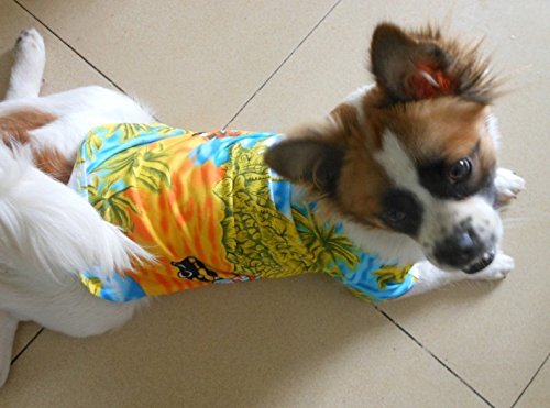 [Australia] - Tangpan Hawaiian Beach Coconut Tree Print Dog Shirt Summer Camp Shirt Clothes M-14# Yellow 