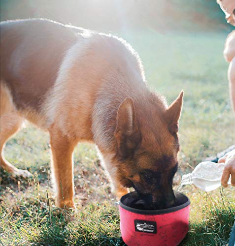 [Australia] - The Humane Society Nylon Folding Feeding Bowl Green 