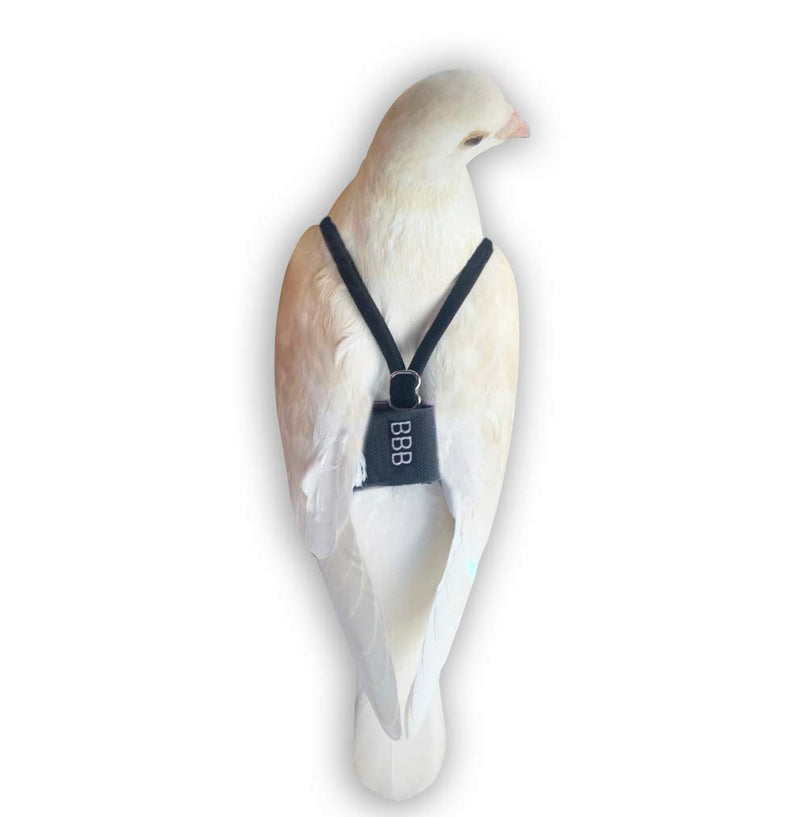 [Australia] - Bev's Bird Boutique - Pink Polka Dot Flyper (Open Back Design) 8.5 