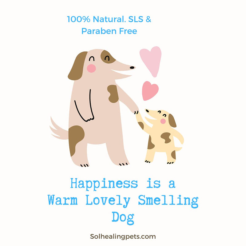 Sol Healing Dog Deodoriser - Natural Odour Eliminator for Puppies - Scented Balm Freshener with Long-Lasting Scent - Safe & Gentle on Coat & Skin - No Chemicals, SLS & Parabens - Gift for Pet Owners - PawsPlanet Australia