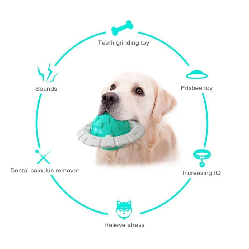 Dog Toys for Large Dogs Aggressive chewers Summer Dogs Ice Chewing Toys Dog Flying Disc Interactive Toys Dog Training Toy Blue - PawsPlanet Australia