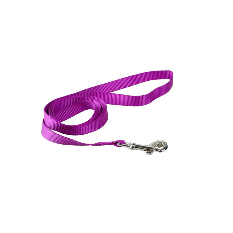 SpeedPets Durable Dog Lead Nylon Pet Leash (Small, Purple) Small - PawsPlanet Australia