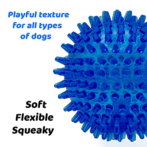 Rubber Ball Toy for Dogs | Knobby Spiky Bouncing Sphere | Guaranteed | Aggressive Chewer Pet Toy | All Breeds Small to Large - PawsPlanet Australia